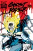 [title] - Ghost Rider (3rd series) #45