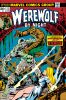 Werewolf by Night (1st series) #13 - Werewolf by Night (1st series) #13