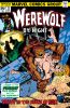 Werewolf by Night (1st series) #35 - Werewolf by Night (1st series) #35