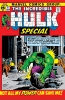 Incredible Hulk (2nd series) Annual #4 - Incredible Hulk (2nd series) Annual #4