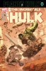 Incredible Hulk (3rd series) #95 - Incredible Hulk (3rd series) #95