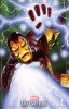 [title] - Iron Man (6th series) #13 (Joe Jusko variant)