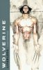 Novel: Wolverine Lifeblood - Novel: Wolverine Lifeblood