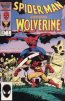 Spider-Man versus Wolverine #1 - Spider-Man versus Wolverine  #1