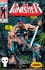 Punisher (2nd series) #40 - Punisher (2nd series) #40