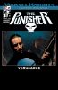 Punisher (6th series) #25 - Punisher (6th series) #25