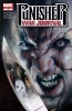 Punisher War Journal (2nd series) #18 - Punisher War Journal (2nd series) #18