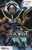 [title] - Storm & the Brotherhood of Mutants #1 (Arthur Adams variant)