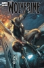 Wolverine: The Anniversary #1 - Wolverine: The Anniversary #1