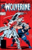 Wolverine (2nd series) #2 - Wolverine (2nd series) #2