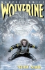 Wolverine (2nd series) #171 - Wolverine (2nd series) #171