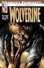 Wolverine (3rd series) #13 - Wolverine (3rd series) #13