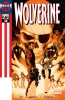 Wolverine (3rd series) #34 - Wolverine (3rd series) #34