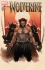 Wolverine (4th series) #301 - Wolverine (4th series) #301